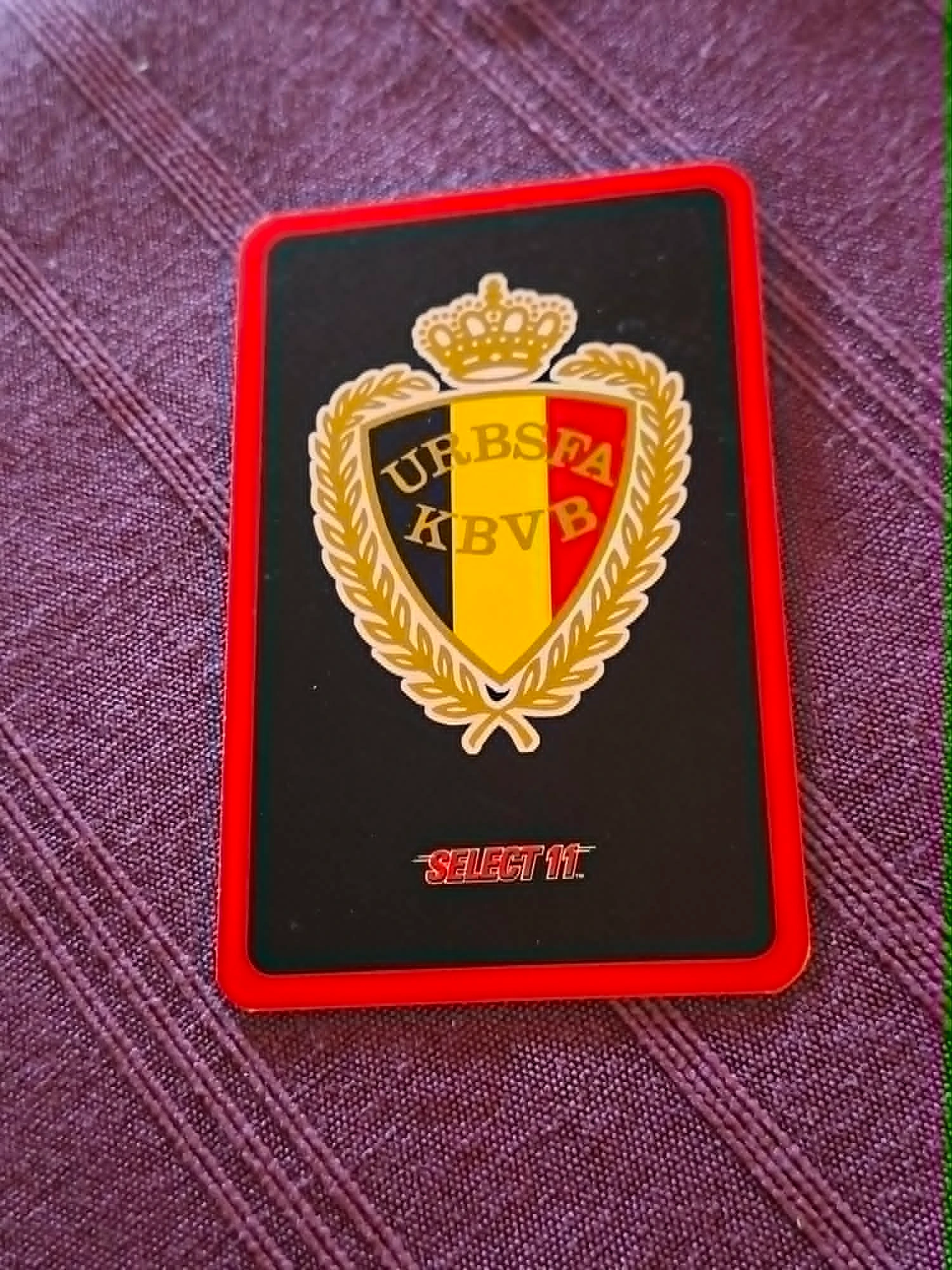 Tarjeta de fútbol: Yves Vanderhaeghe / Diablos Rojos – photo 2